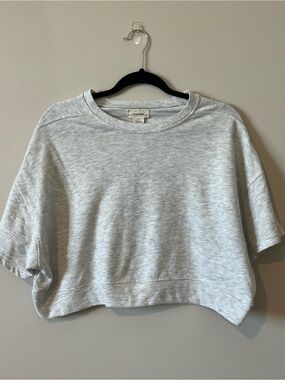 NWOT Manifest Offline Light Gray Cropped Sweatshirt
